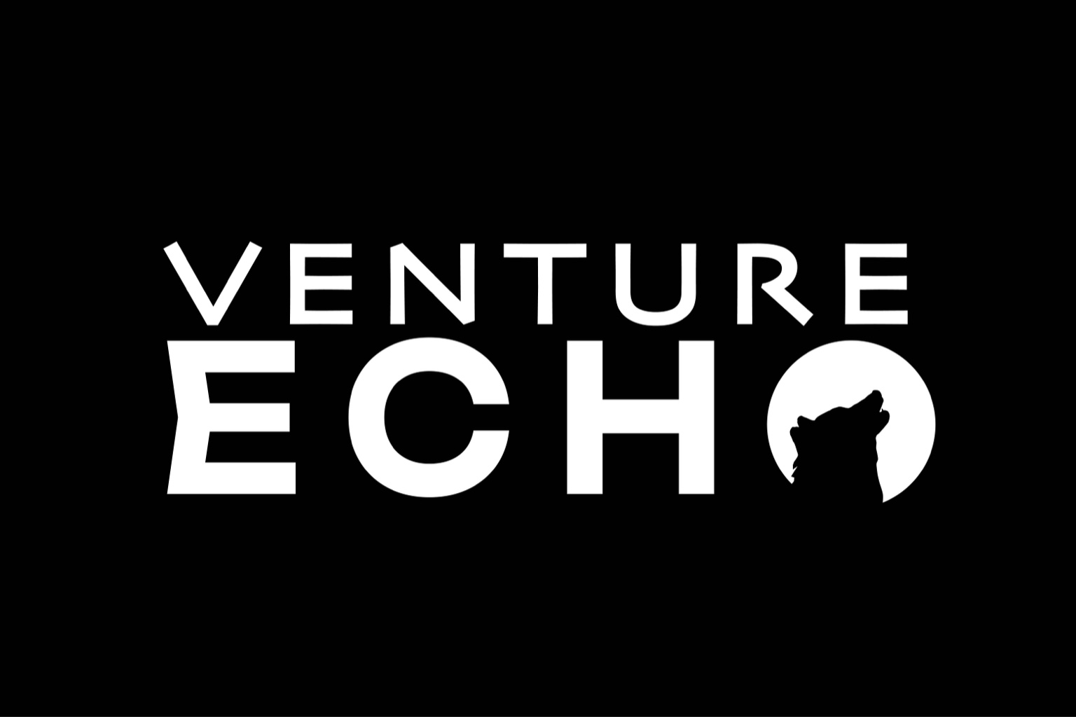 Venture Echo logo